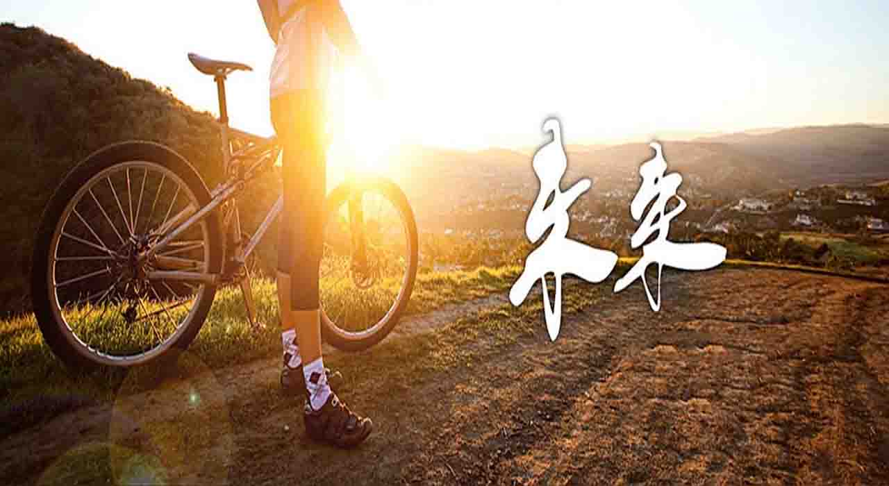张一豪个人网站